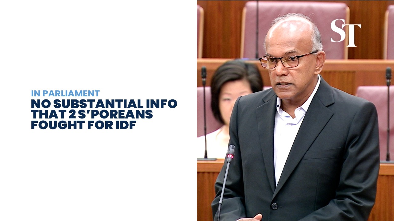 Govt has no substantial info that 2 S’poreans fought for IDF, verifying with Israel: Shanmugam