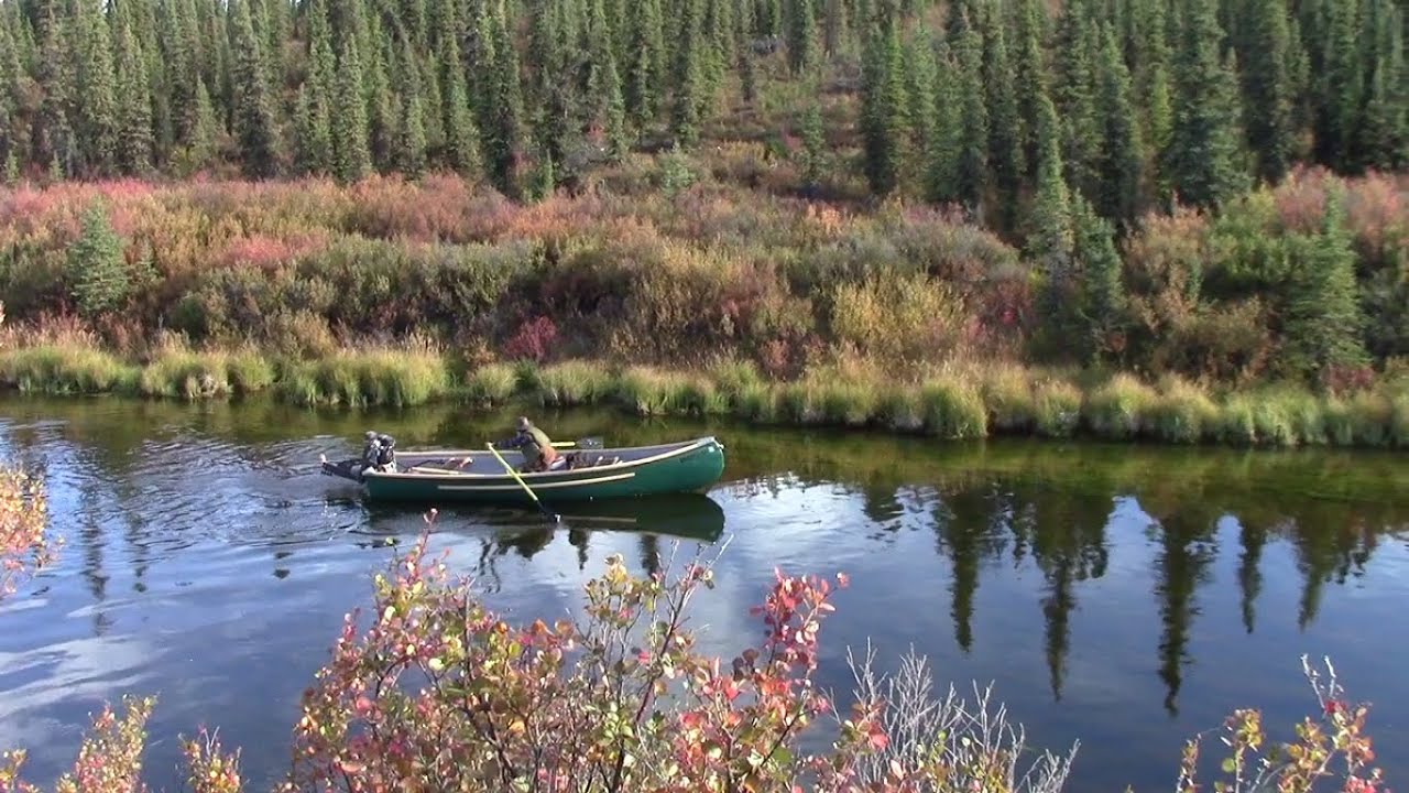 Canoe Camping Remote Alaskan River