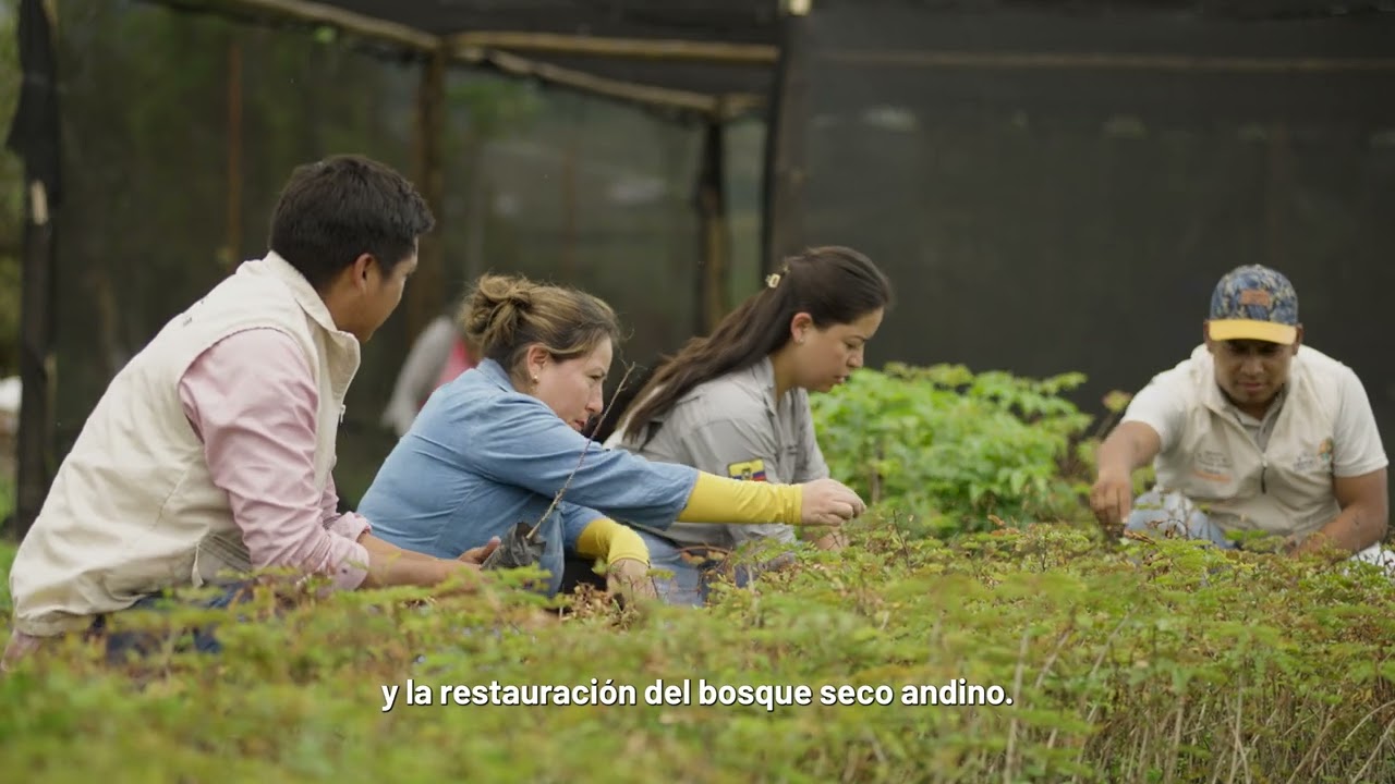 Programa REM Ecuador, proyecto Guarango
