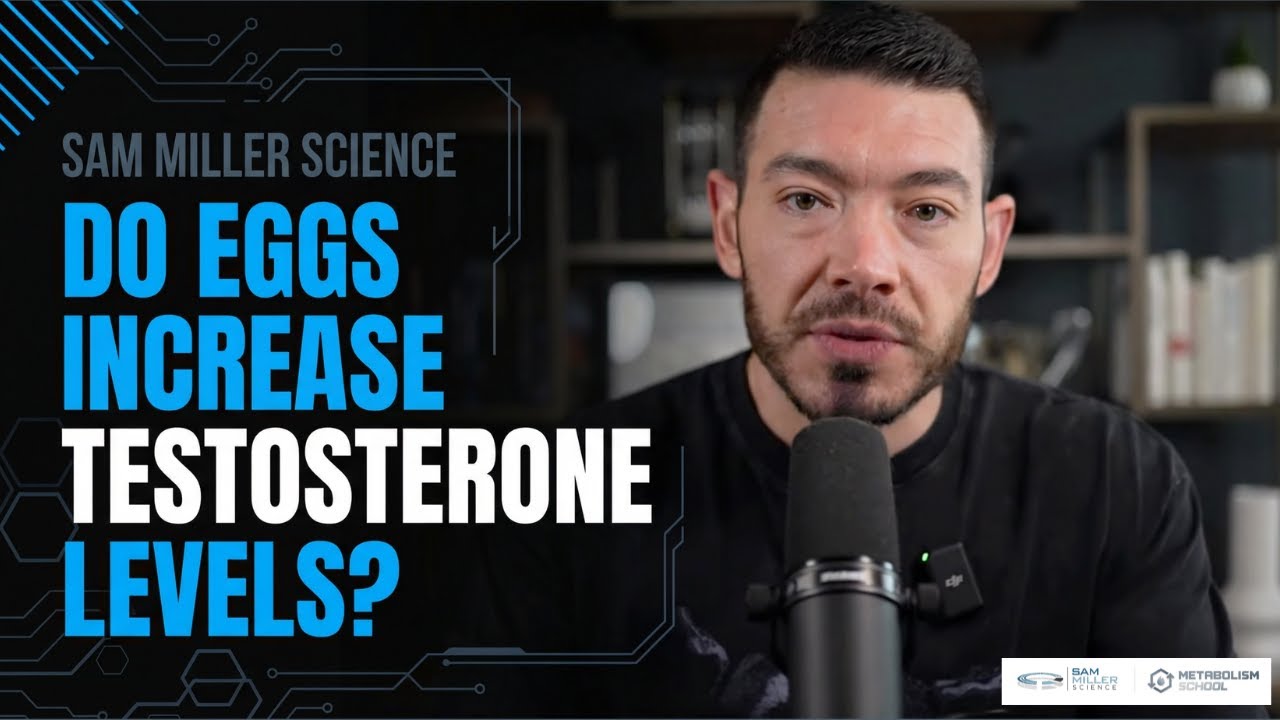 Do Eggs Increase Testosterone Levels? (Testosterone Booster)