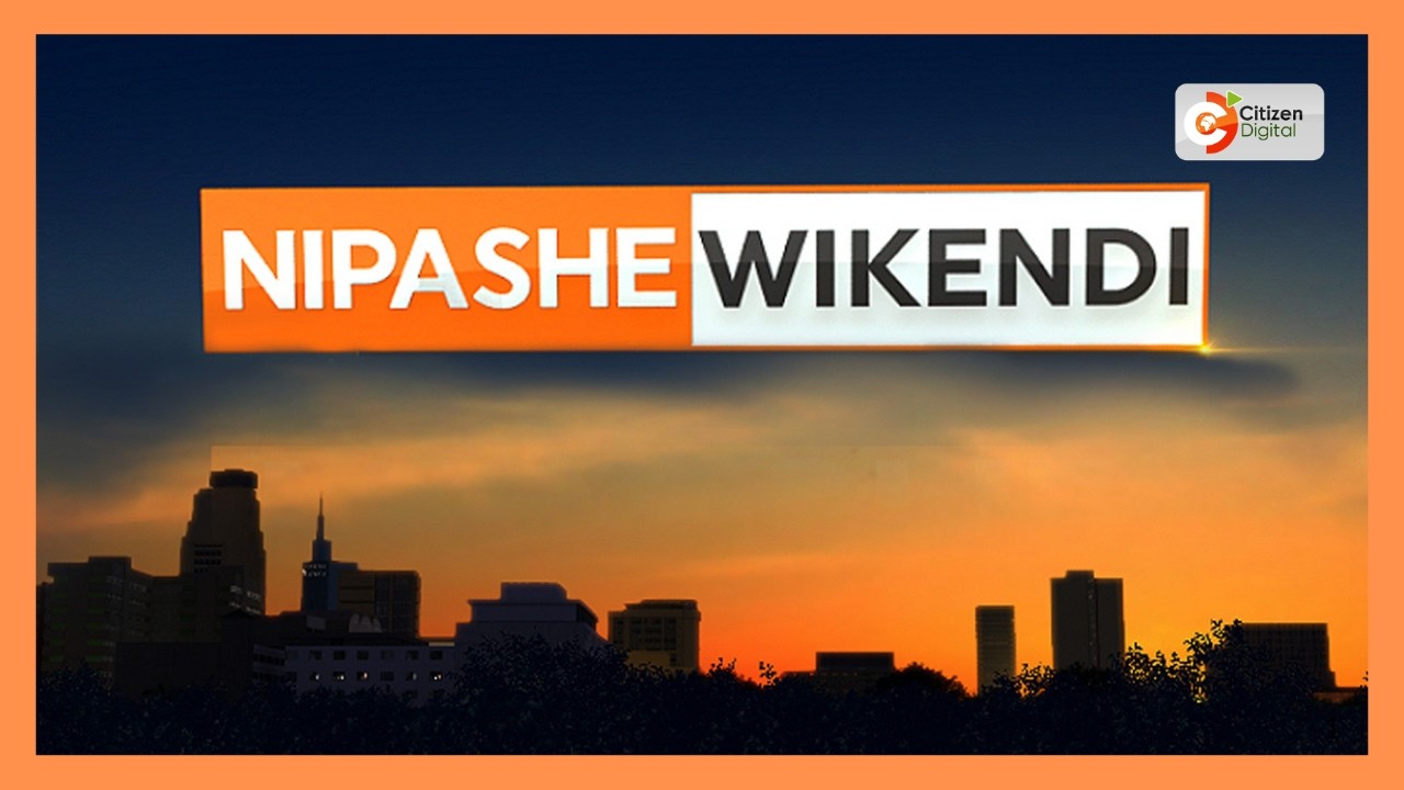 CITIZEN NIPASHE ~ 01 АВГУСТА 2026