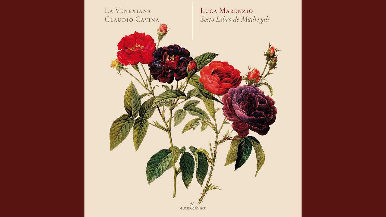 Madrigali á 5 voci, Libro 6: No. 15, Rimanti in pace, a la dolente e bella