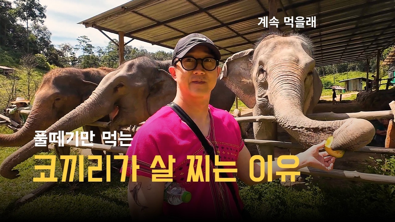 코끼리와 함께 사는 치앙마이 카렌족과 함께  [세계여행 12 - 태국02]