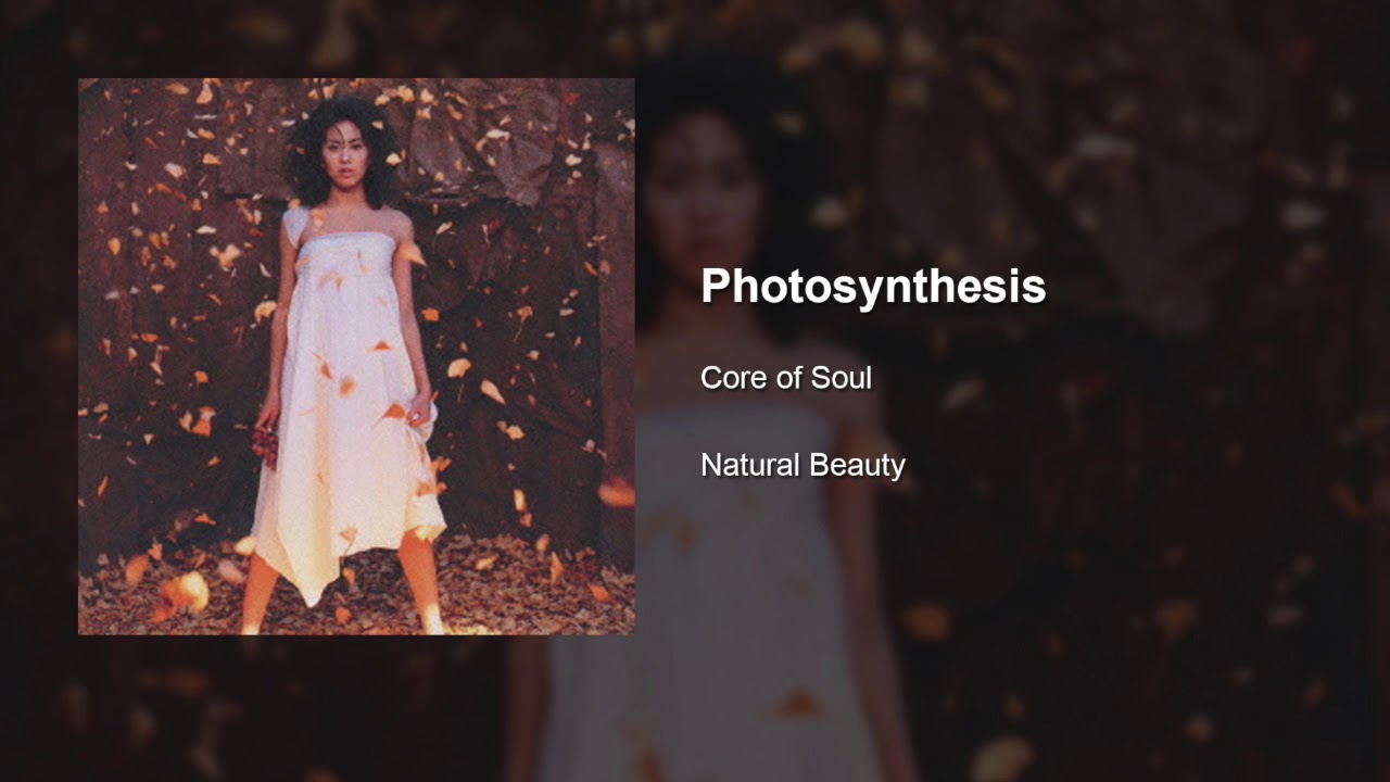 Core of Soul - Photosynthesis