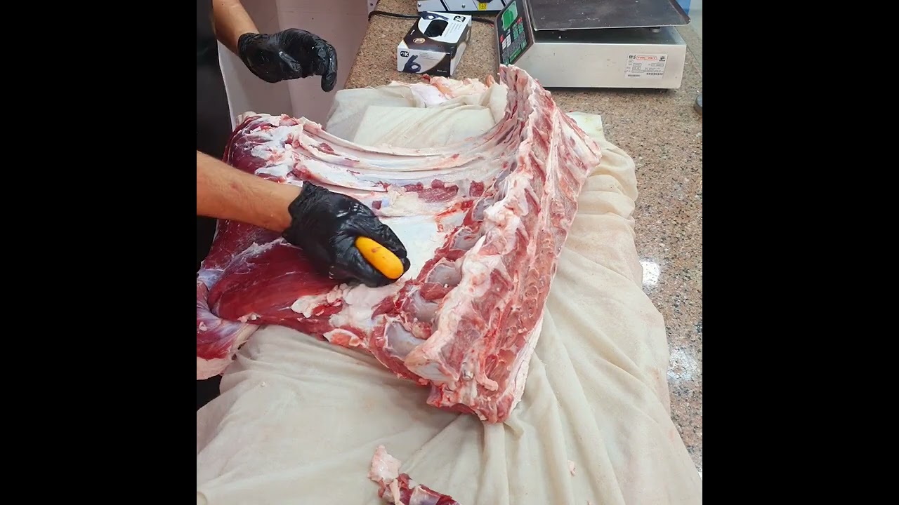 تشفية ضهر عجل مع استخراج عرق الفلتو او الفتيله وصلي على النبي