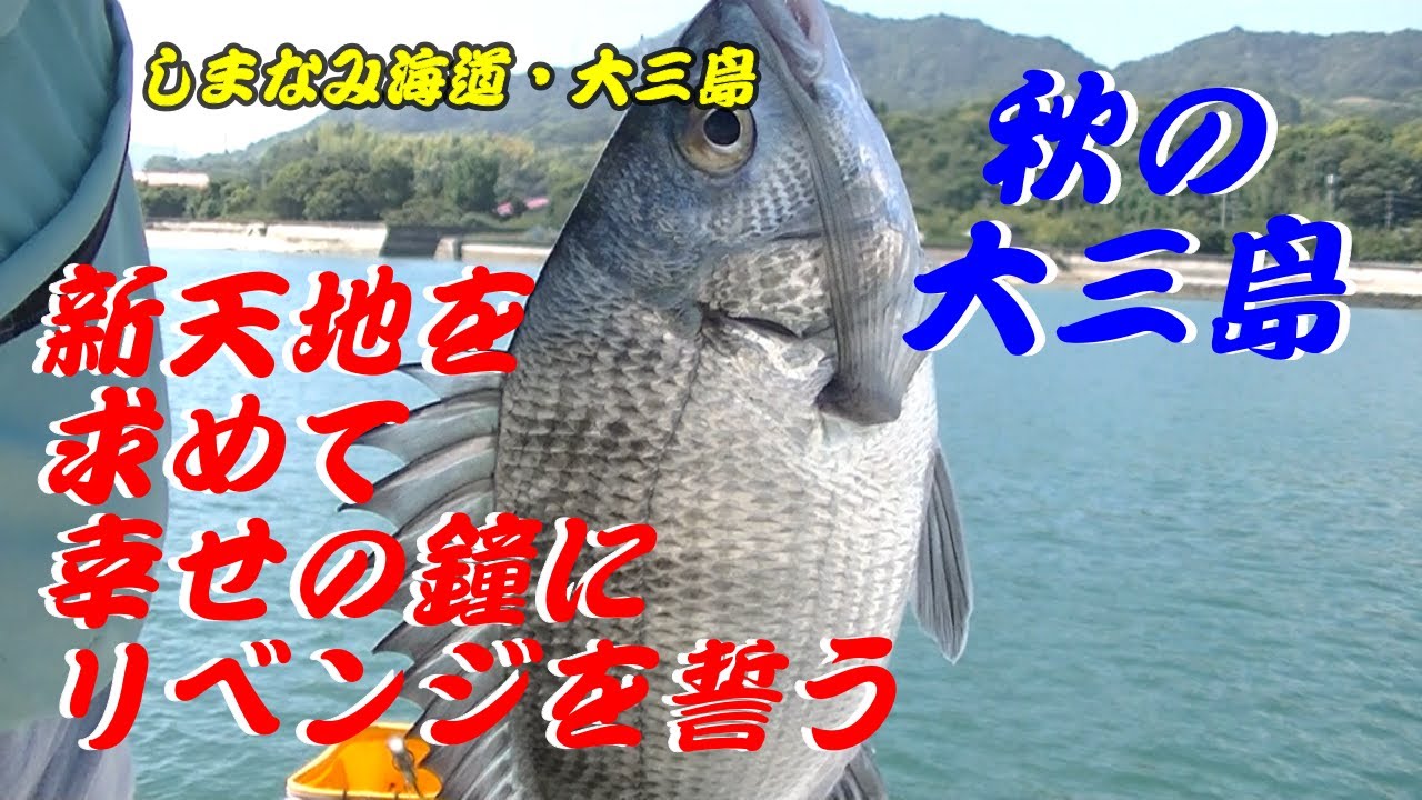 しまなみ海道・大三島　１カ月ぶりの出張でまだ行った事の無い場所を探して竿を出してみたものの、潮が逆で結果を残す事が出来ませんでした😢