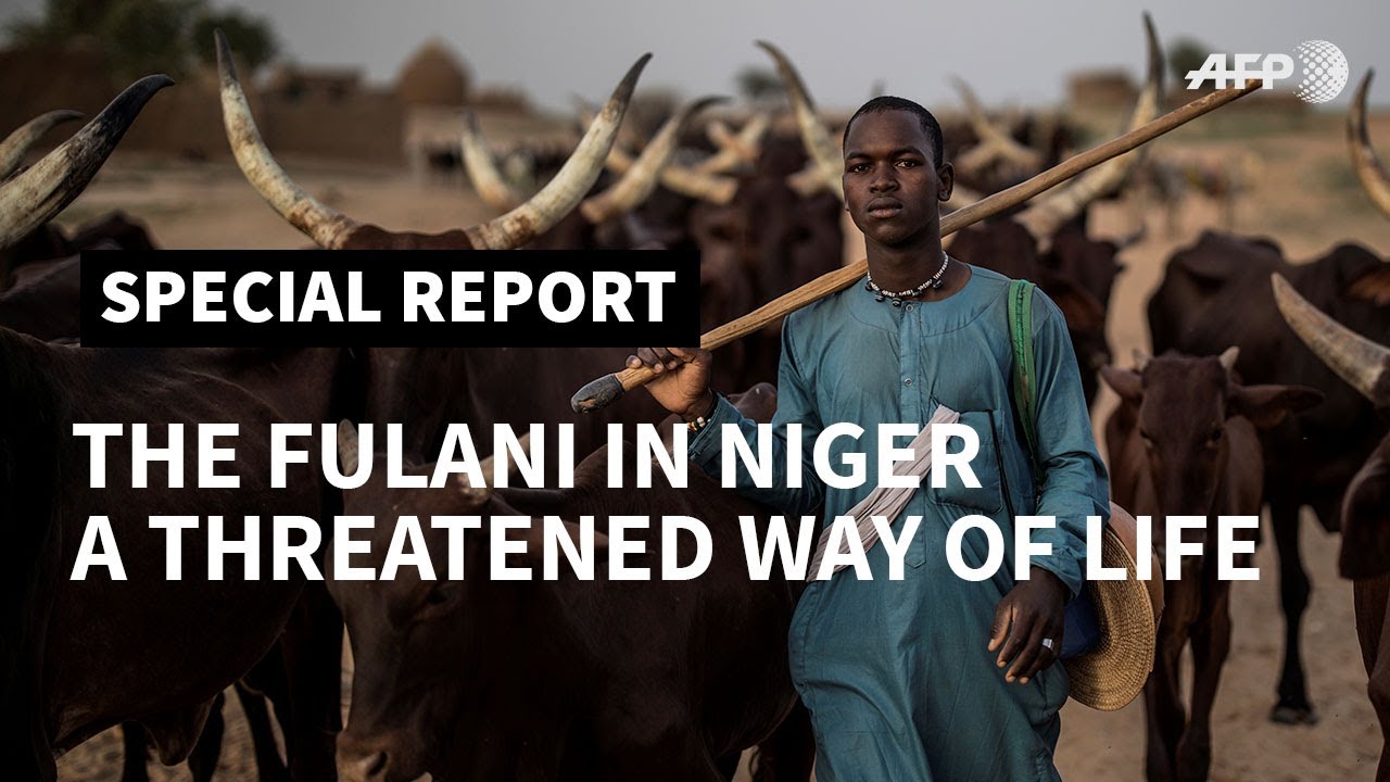 PART III - The Fulani in Niger: climate change threatens way of life of nomadic herders | AFP