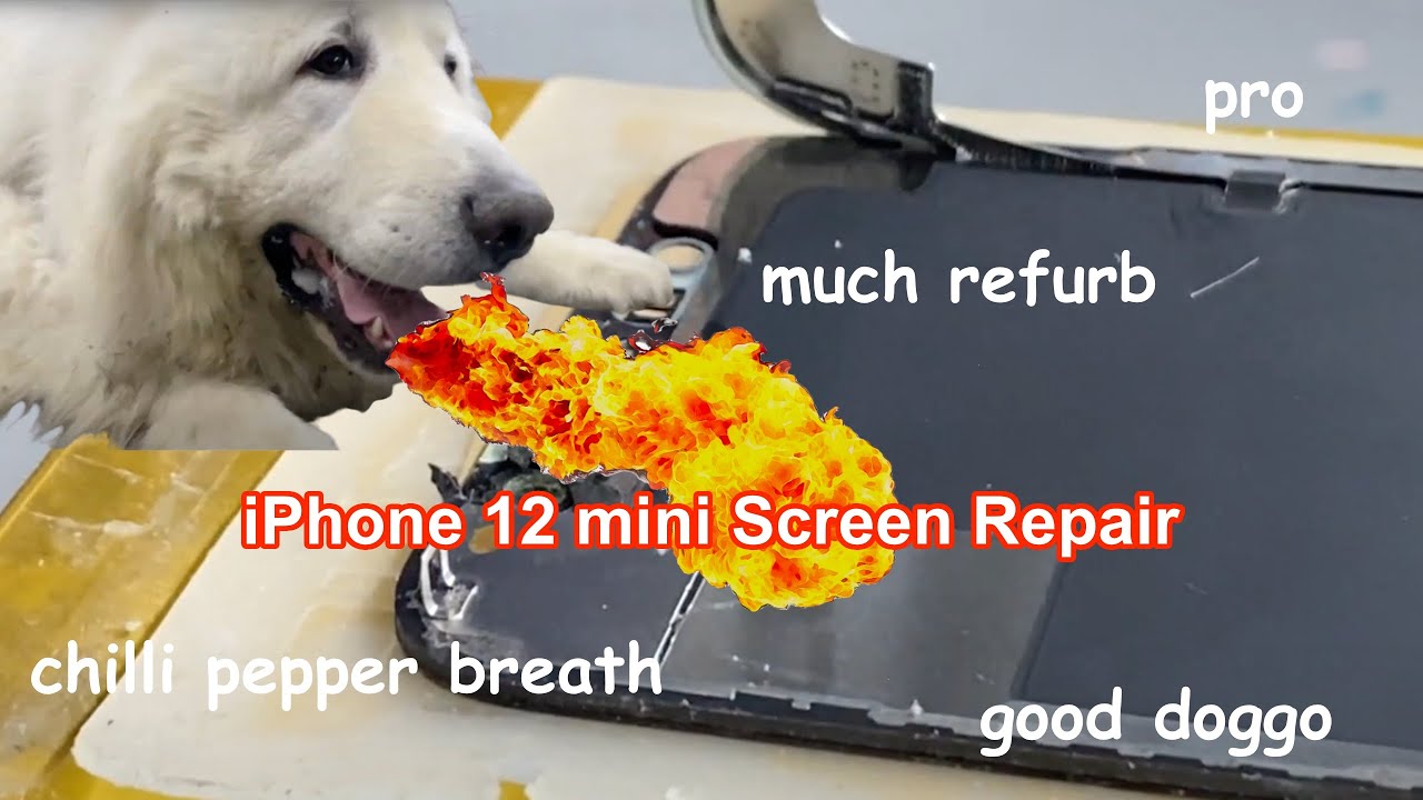 iPhone 12 mini Screen Repair (Start to Finish) - Glass Only
