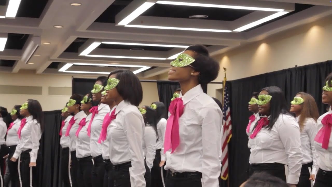 The Theta Sigma Chapter of Alpha Kappa Alpha Sorority Inc. Fall 2013 Probate