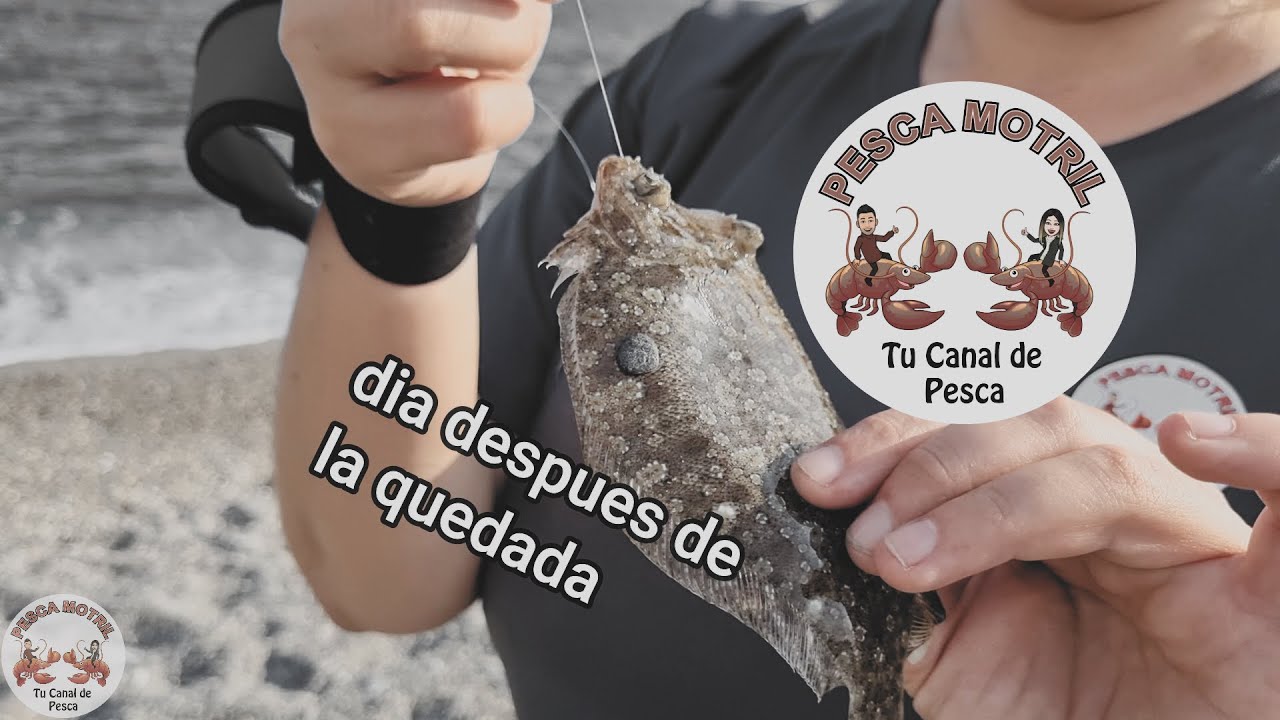 Jornada dia despues de la quedada playa de ( Calahonda )
