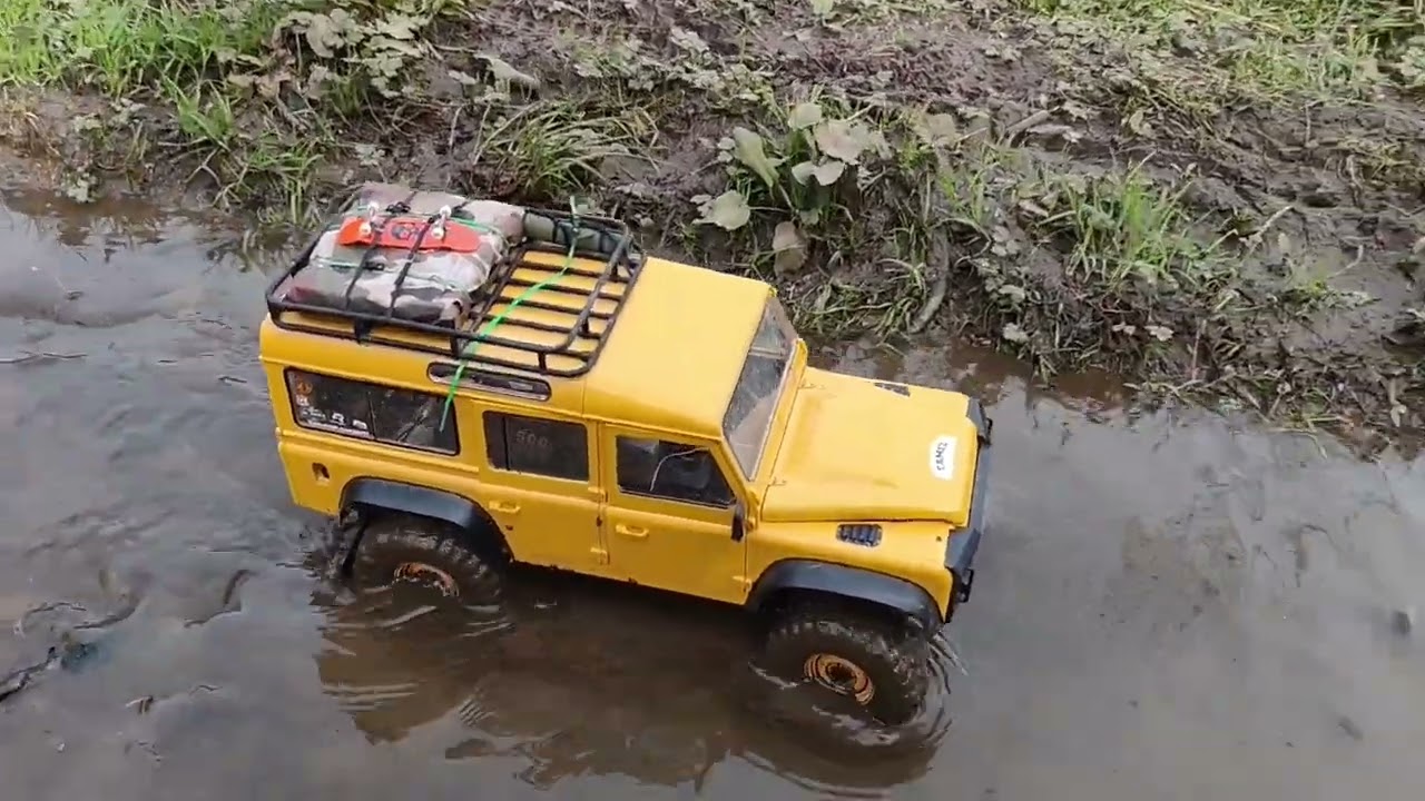 Sortie en forêt pas pas top