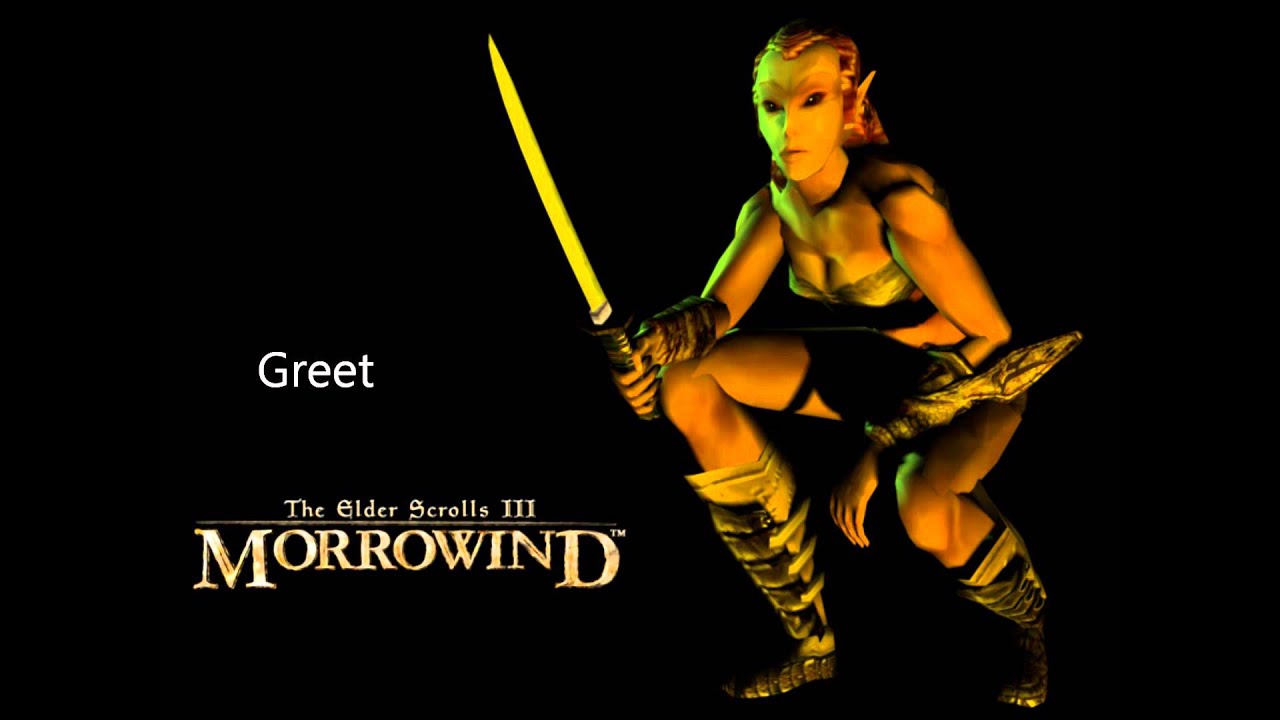 Morrowind Female Wood Elf Responses