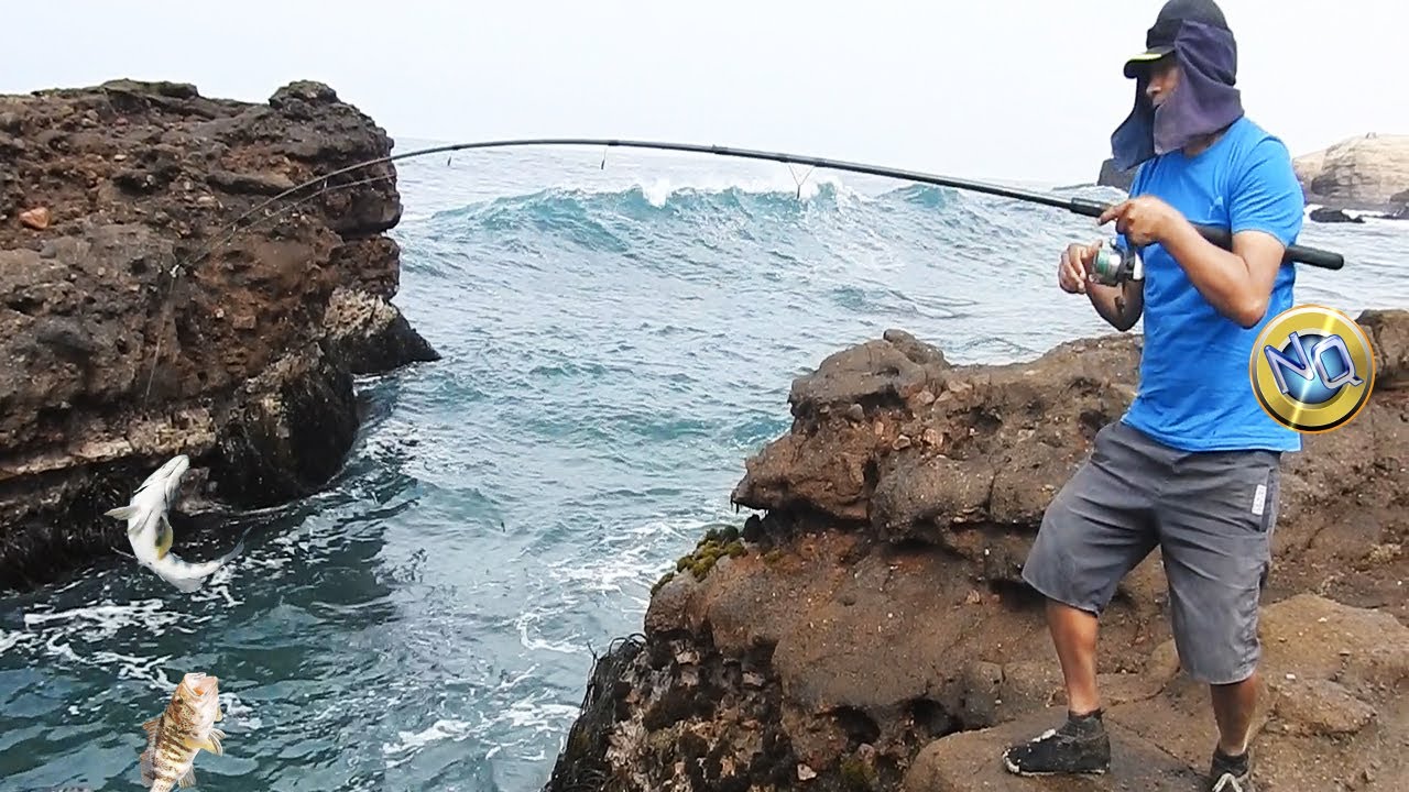 Gran pesca con la carnada que enloquece a los peces