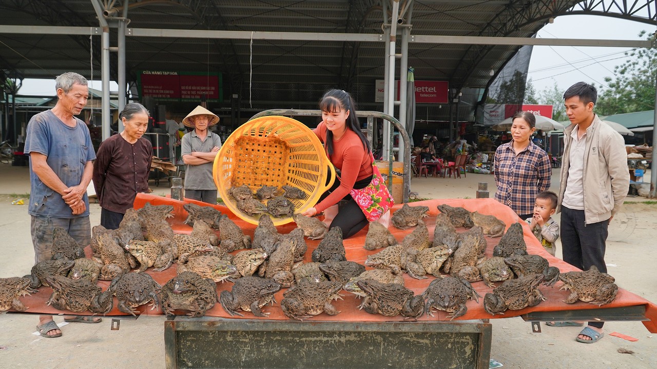 Buy Lot Of Frogs from the Farmer Woman --  Use Trucks To Transport Goes To Village Market Sell