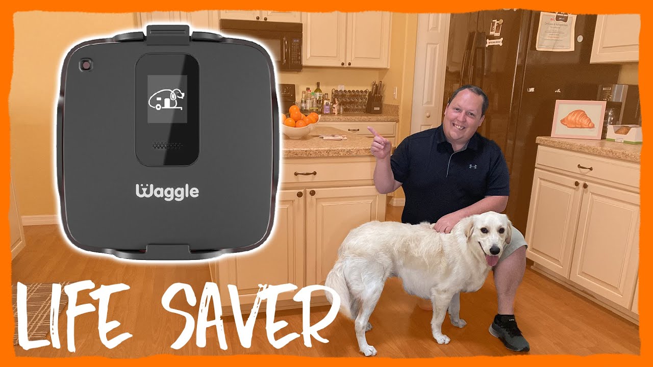 This Could Save Your Pets LIFE! Must Have For RV'ers! My Waggle