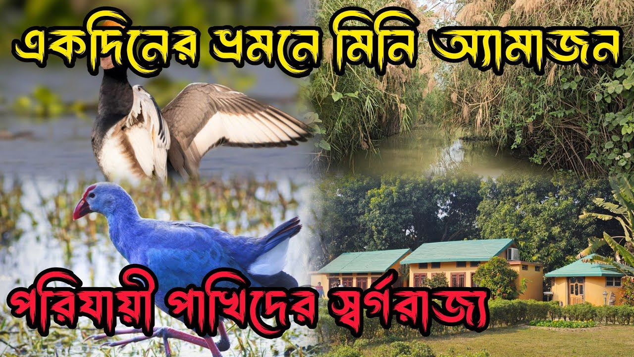 Weekend Trip From Kolkata | চুপির চর পূর্বস্থলী | Chupi Chor Purabasthali | পাখিরালয়  | Mini Amazon