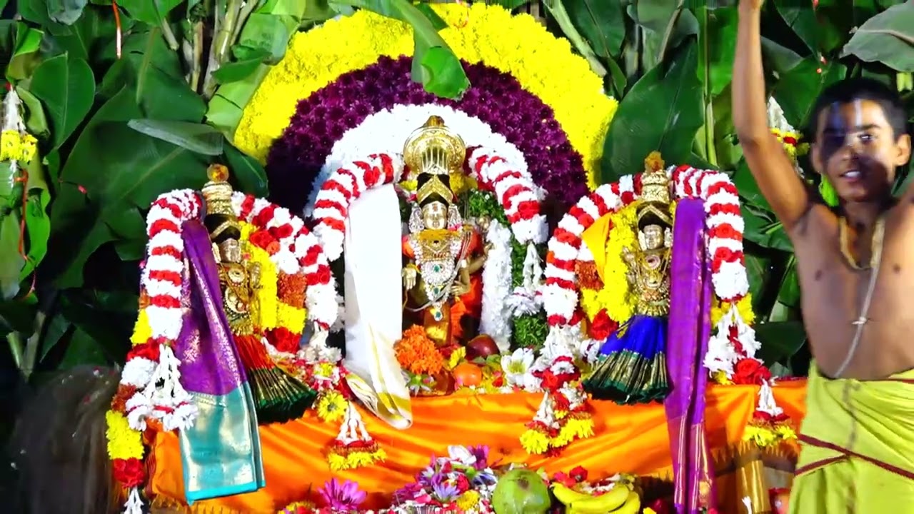 Crane Srinivasa kalyanam2026