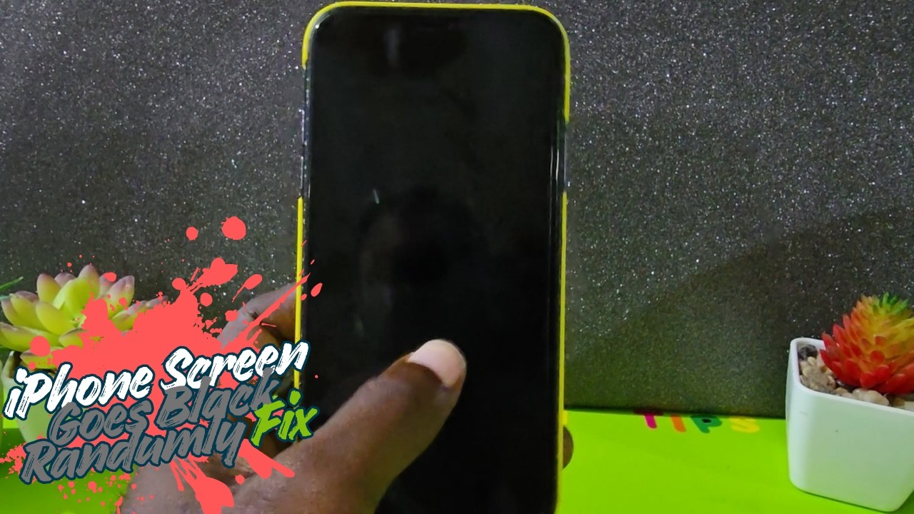 iPhone Screen Suddenly Went Black Fix
