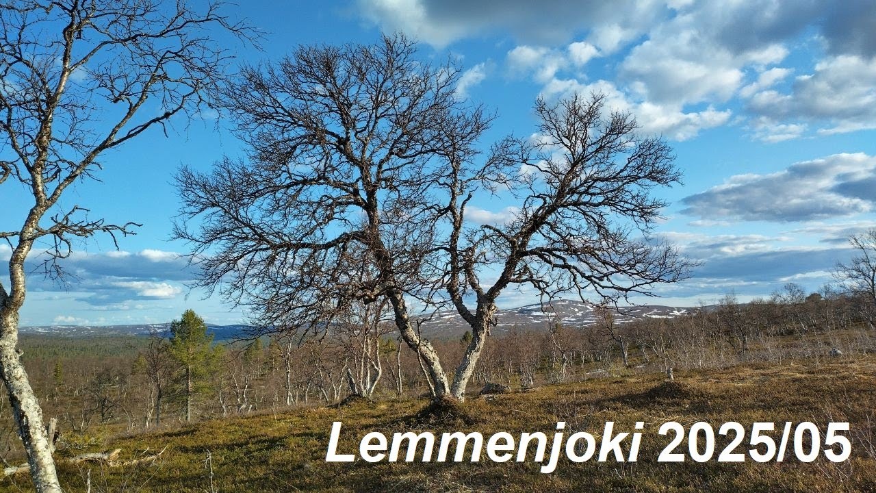 Kesän porteilla. Lemmenjoki 2025/05