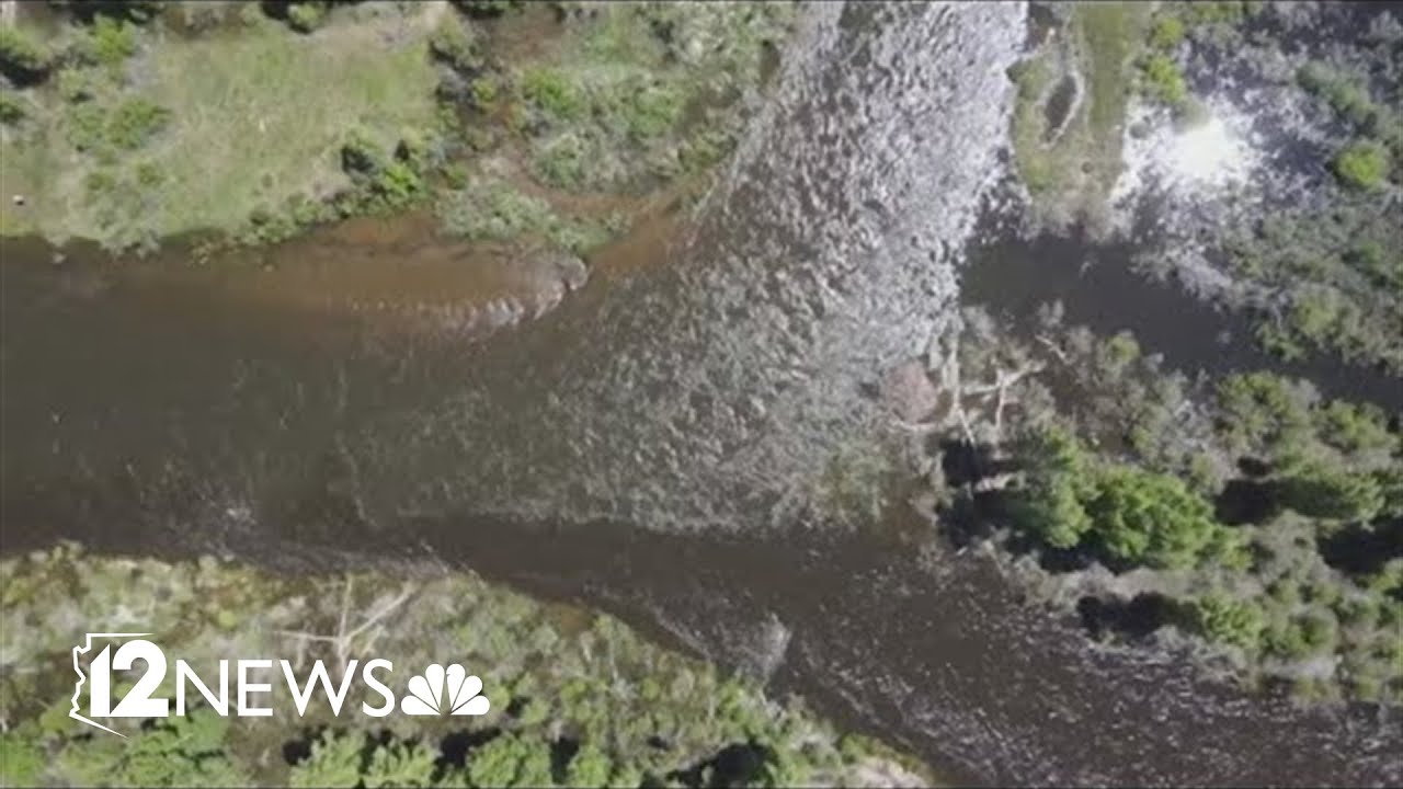 States race to solve water shortage