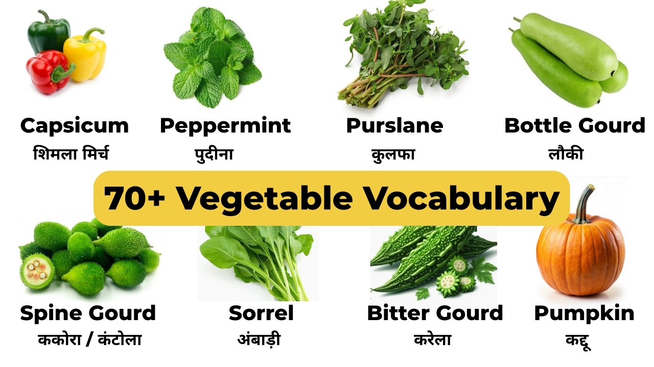Learn Vegetables Name in English with Hindi Meaning 🍅🍆🌽 | English Vocabulary 🧄🫑🌶️🥒