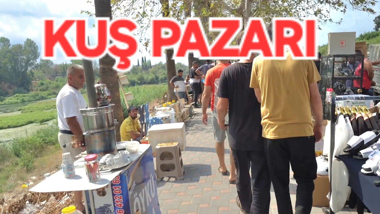 ADANA❗️KUŞ PAZARI #adana #keşfet #kuşpazarı #seyhan 