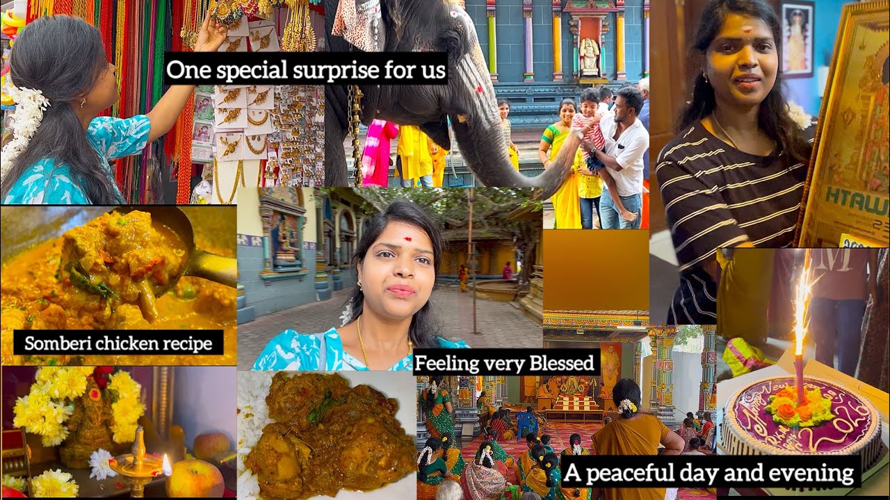 💥A Peaceful Day and Evening | special surprise for us | feeling blessed | somberi chicken recipe 