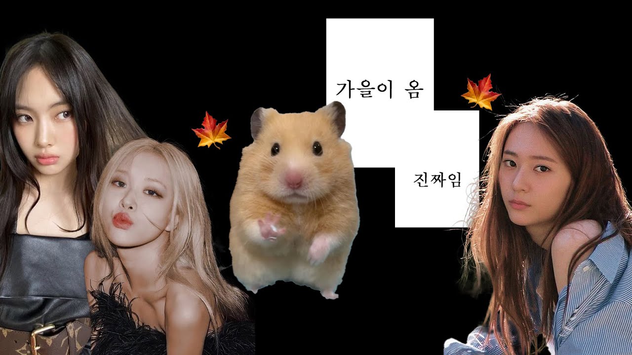 [Playlist] 난 가을탈 때 케이팝을 들어🎧🍂 | KPOP 플레이리스트 | 가을 플리 | 케이팝 잔잔한 노래 모음