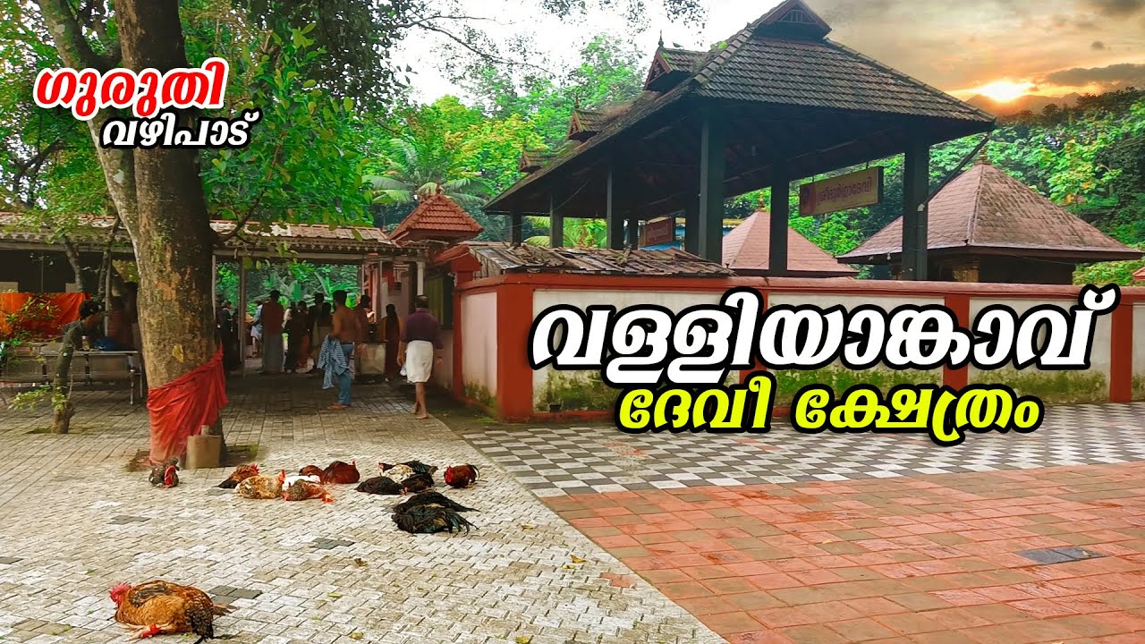 വള്ളിയാങ്കാവ് ദേവി ക്ഷേത്രം (മുണ്ടക്കയം) | Valliyamkavu Devi Temple  | ചരിത്രം |  Vishnu Talkz