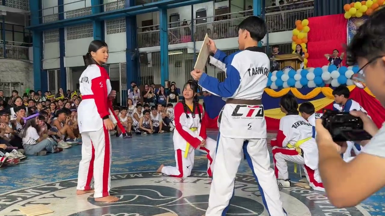 Taekwondo Exibition 