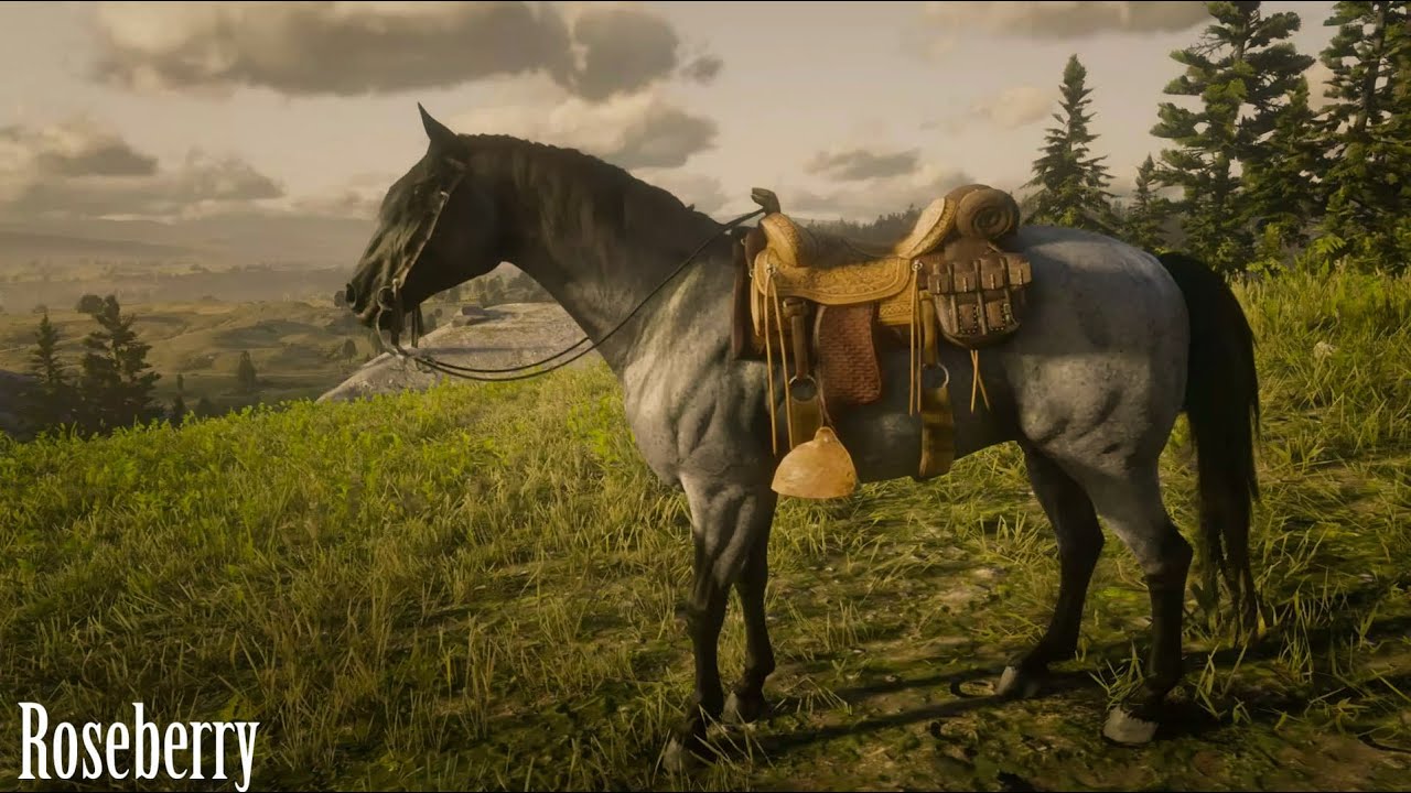 Red Dead Online Missouri Fox Trotter: Blue Roan