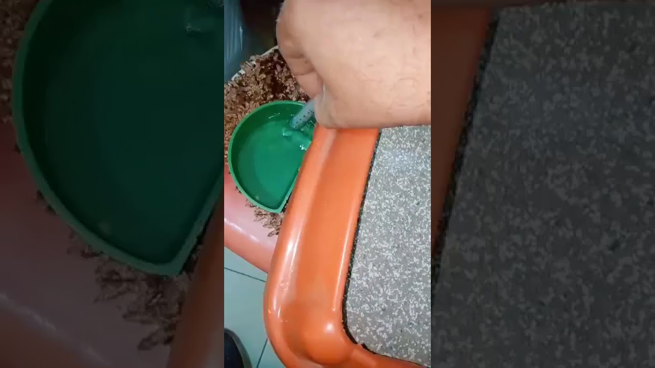 رمل قطط بيجو كات 5 لتر وباقل سعر