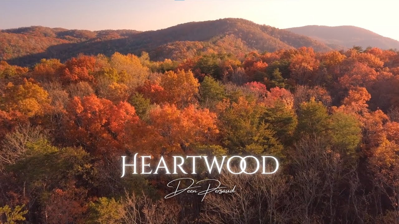 Deen Persaud - Heartwood (Music Video)