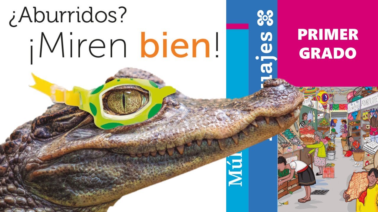 &iquest;Aburridos? &iexcl;Miren bien! (M&uacute;ltiples lenguajes, Primer grado)