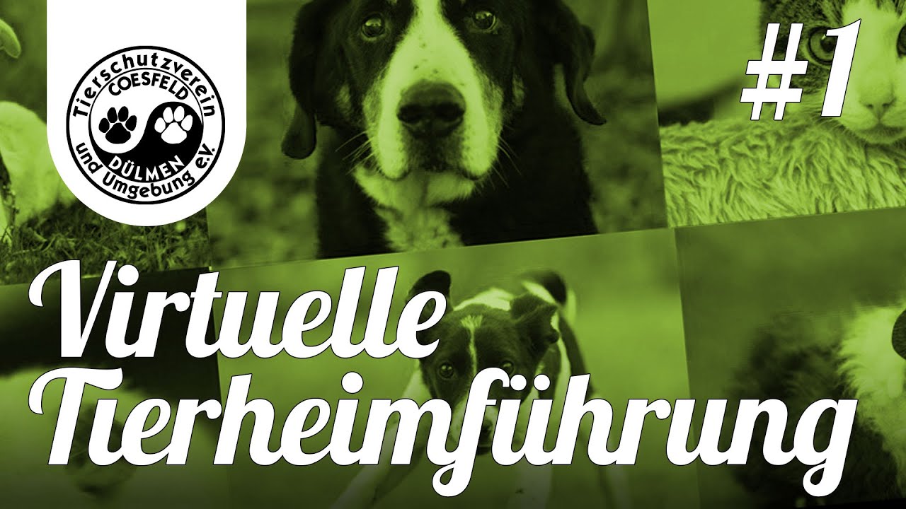 Tag 1 - Das Tierheim Coesfeld-Lette