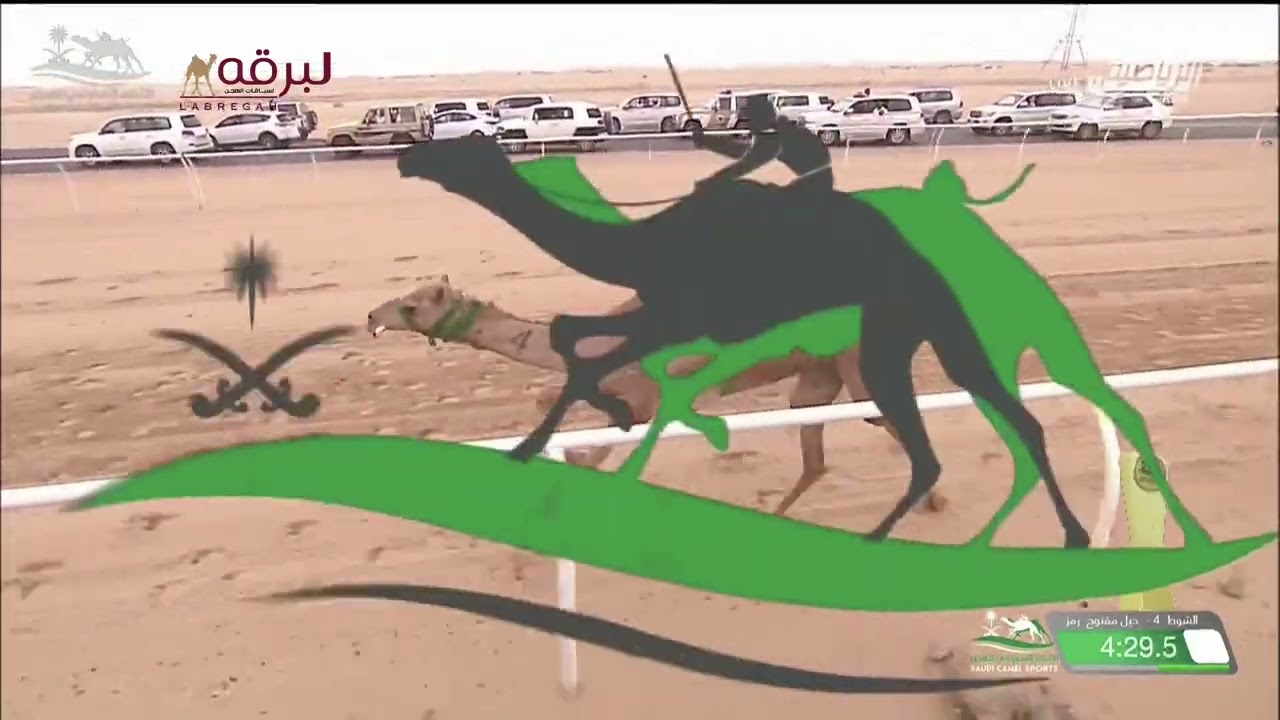 ش4 المملكه لـ عاطف عطية حسن القرشي  (كأس الإتحاد السعودي للهجن) كأس الحيل مفتوح 9:39:40