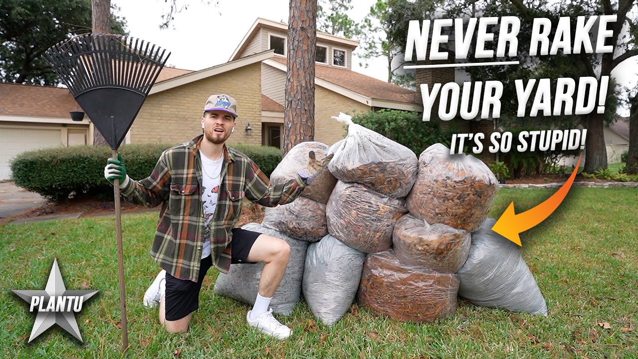 Don't EVER Rake Leaves Again! Leaf Mulch Improves Your Soil & Fertilizes The Yard | How To Tutorial