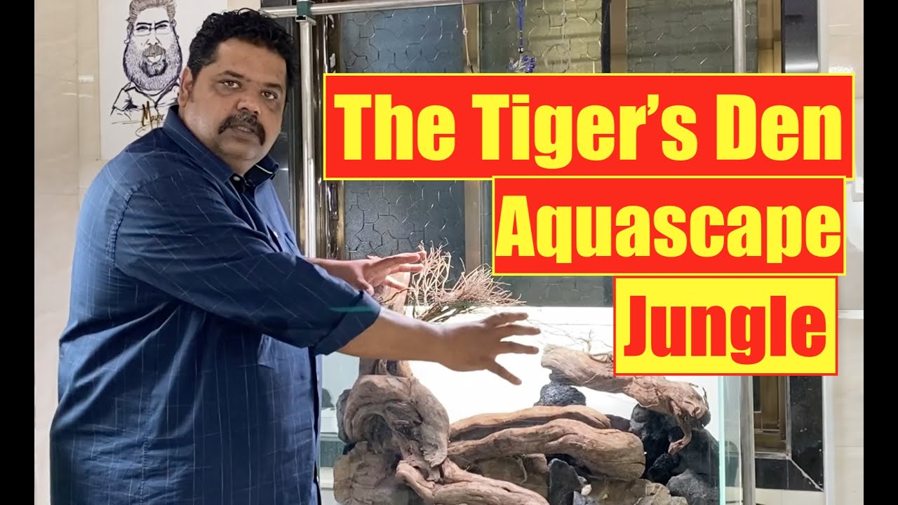 The Tiger's Den, Jungle Aquascape | Nature Aquarium | Mayur Dev's Tips,  Aquascaping  Part 1 HD1080p