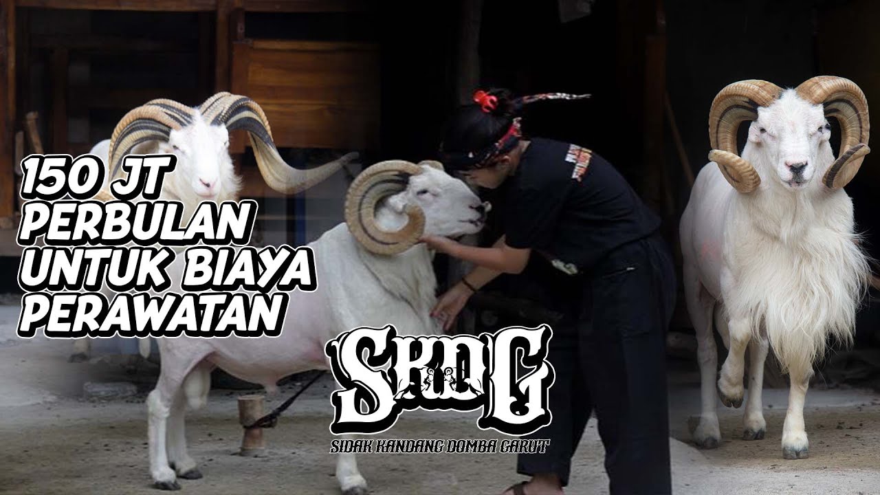 SKDG - 150jt PERBULAN UNTUK BIAYA PERAWATAN DI PADEPOKAN TANJUNG JAYA GARUT