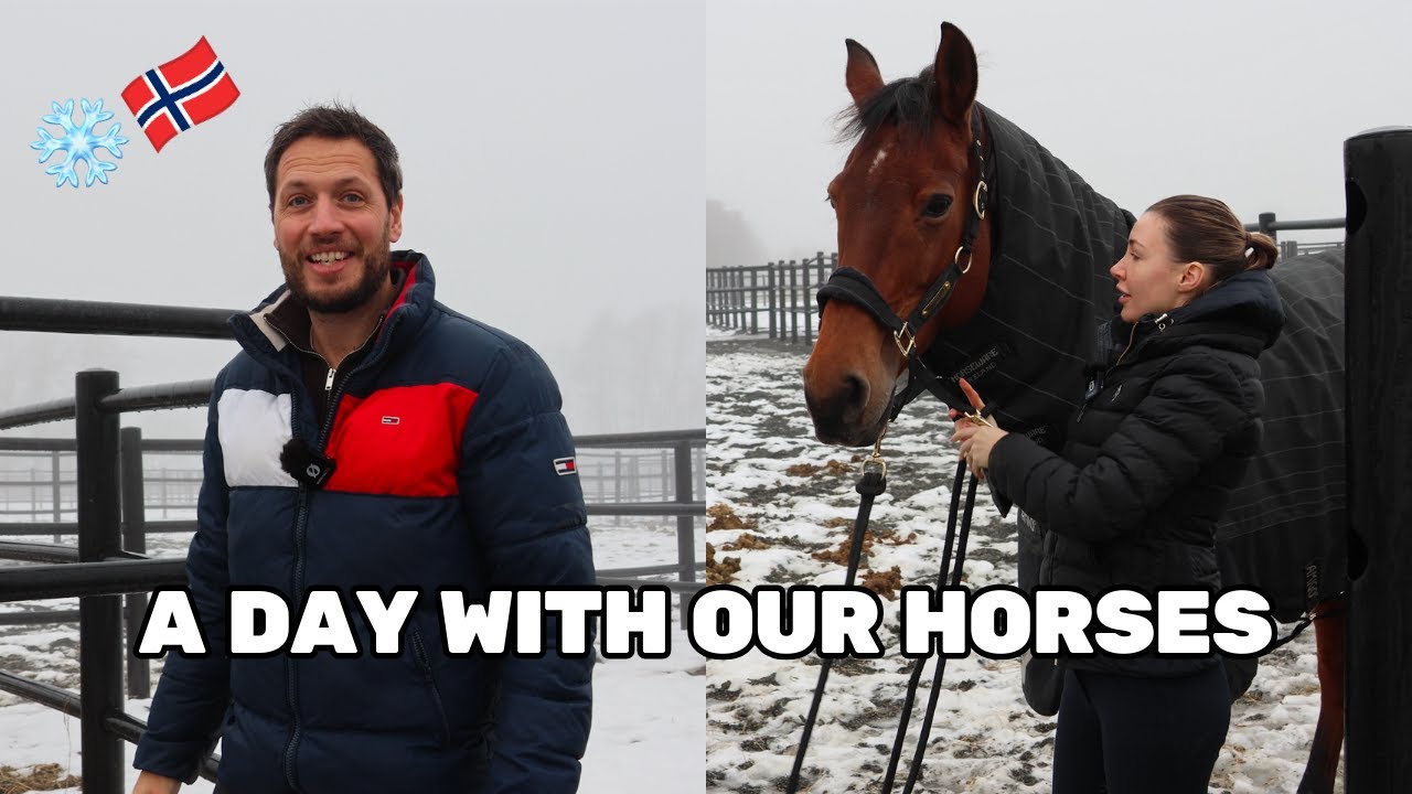 A Day At The Yard With Our Horses In Norway | Boswell Dressage