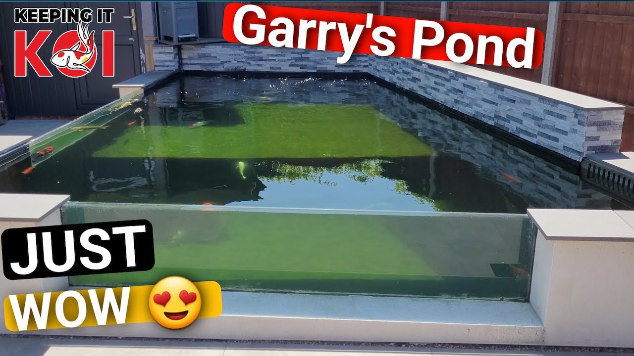 Garry's Pond what a Pond 😍 and Updates on Everything I've missed