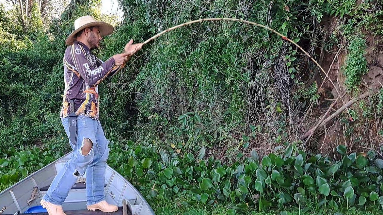 CHEGUEI E JÁ BATEU ESSE MONSTRO NO VARÃO DE BAMBU./PESCARIA RAIZ , PESCARIA CAIPIRA.