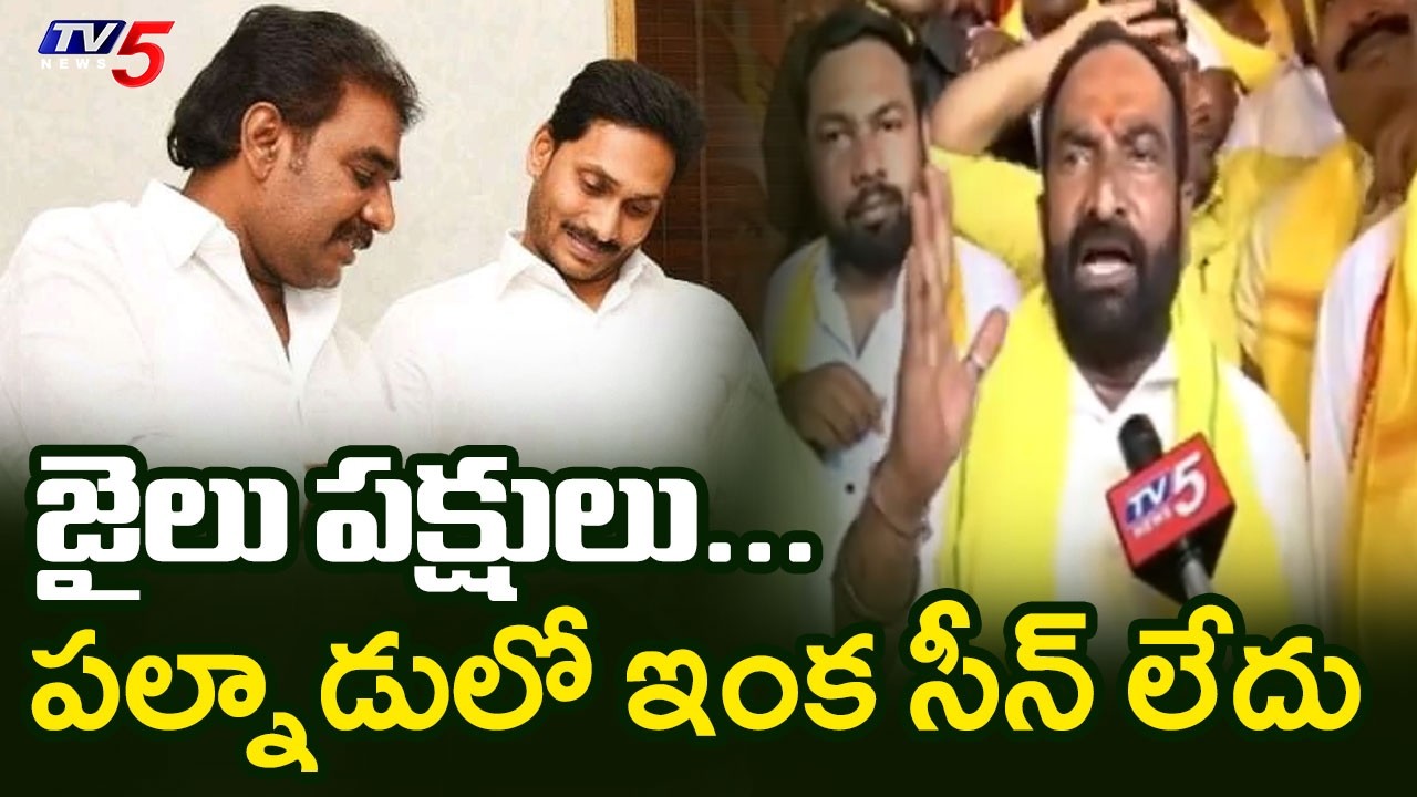 TDP MLA Julakanti Brahmananda Reddy Strong Comments On YCP | YS Jagan | Pinnelli || TV5 News