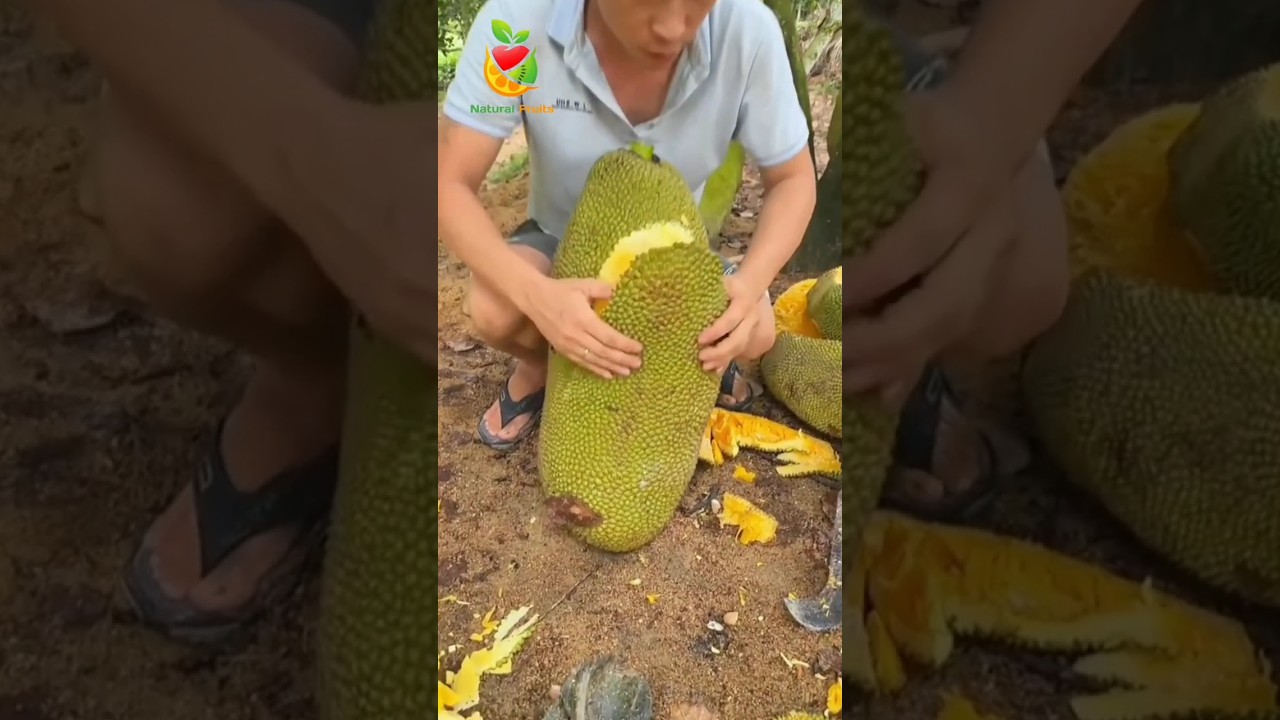 Natural Fruit Farming 🧺 Fruit Cutting Skill #shorts