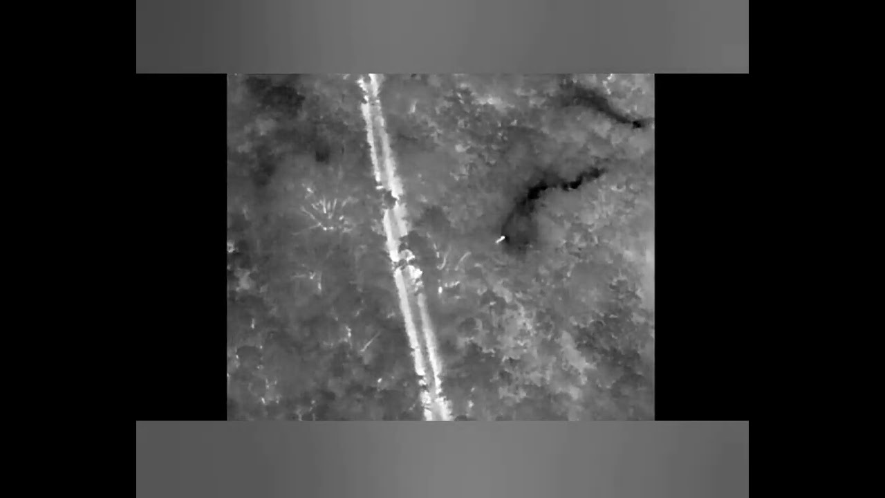 Grupare criminală specializată în migrație ilegală, destructurată de Poliția de Frontieră la Ungheni