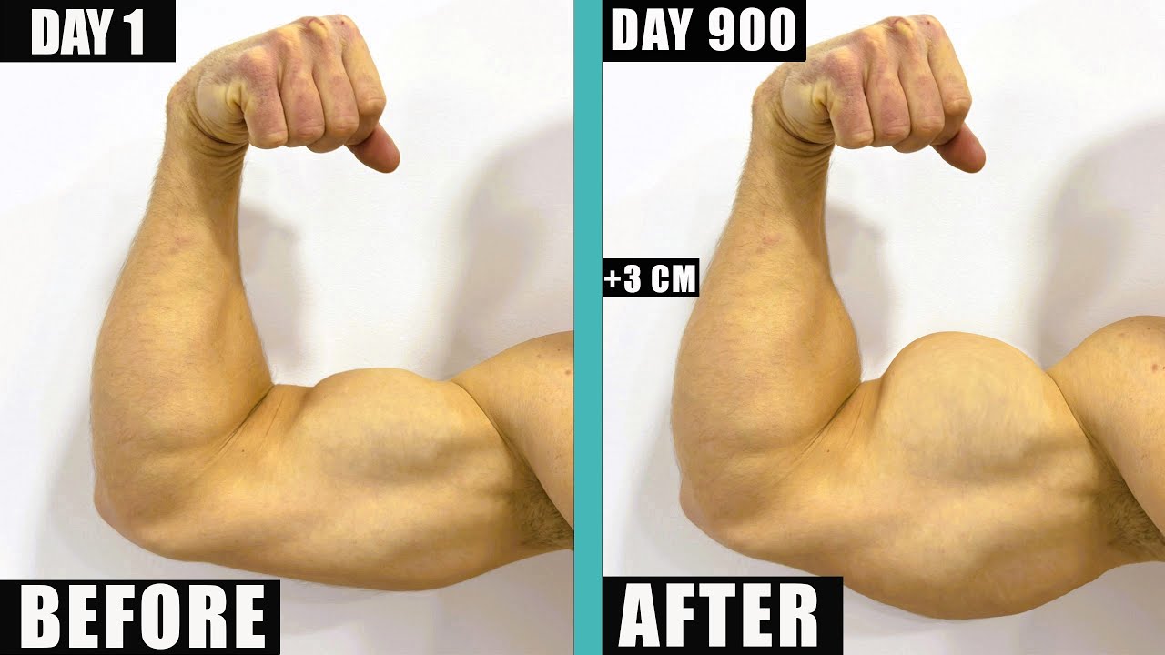 «7 упражнений для бицепсов с гантелями в домашних условиях для накачанных рук» 