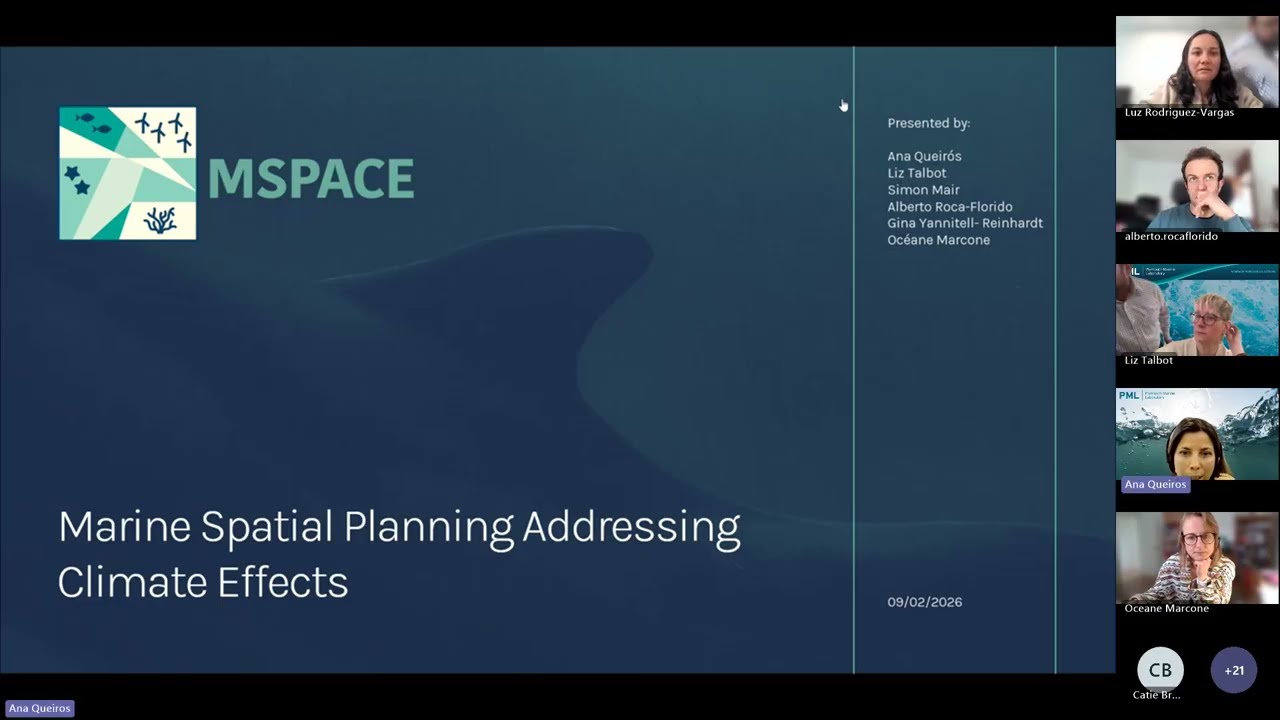 MSPACE Final Webinar - Recommendations and Reflections
