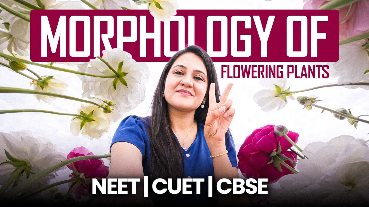 Morphology of Flowering Plants | Full Chapter Rapid Revision 🔥 | NEET 2026 | Class 11 Biology |