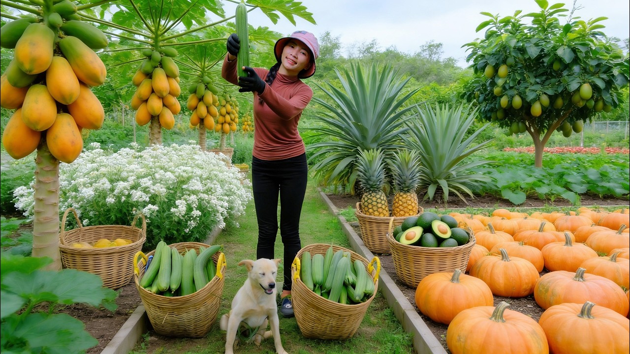Harvest, Sell, And Cook With: Luffa, Papaya, Flowers, Pineapple, Avocado, Pumpkin Leaves &ndash; Farming