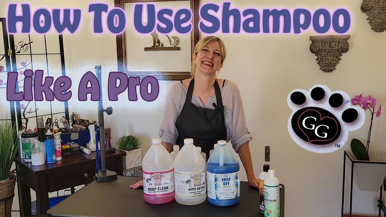 How to Use Shampoo Like a Pro - Tips and Tricks for Using Professional Shampoo - Gina's Grooming